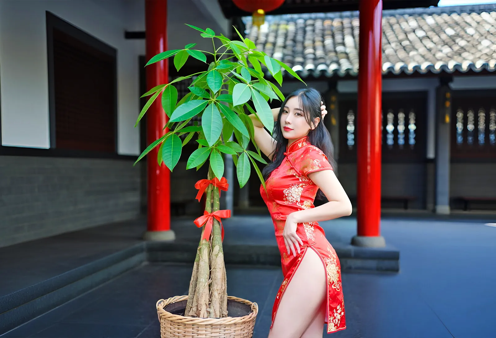发财树